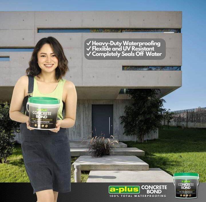 A-Plus Concrete Bond Cementitious Waterproofing Home / Waterproofing Solutions 1081 4L