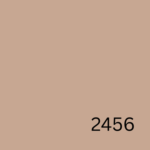 A-Plus All Weather® Premium Acrylic Waterproof Elastomeric Paint (4L) Earth Tone Paint Colors Collection | Natural, Warm & Timeless Shades