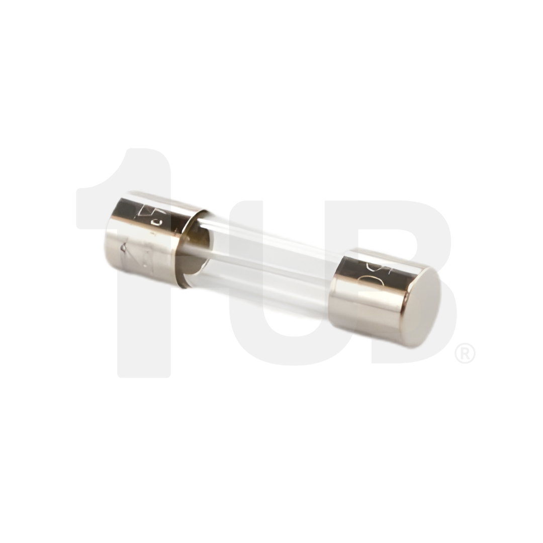 GRACO FUSE 10 AMP TIME LAG 5X20 119688 8673649 ( 1 PC )