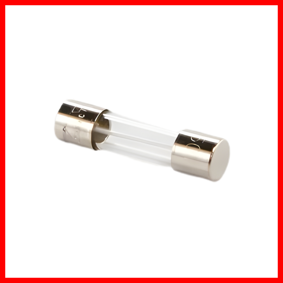 GRACO FUSE 10 AMP TIME LAG 5X20 119688 8673649 ( 1 PC )