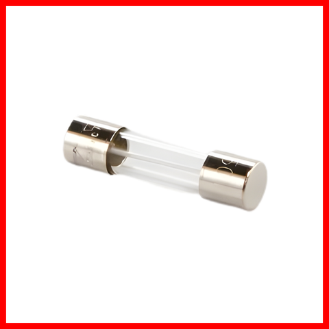 GRACO FUSE 10 AMP TIME LAG 5X20 119688 8673649 ( 1 PC )