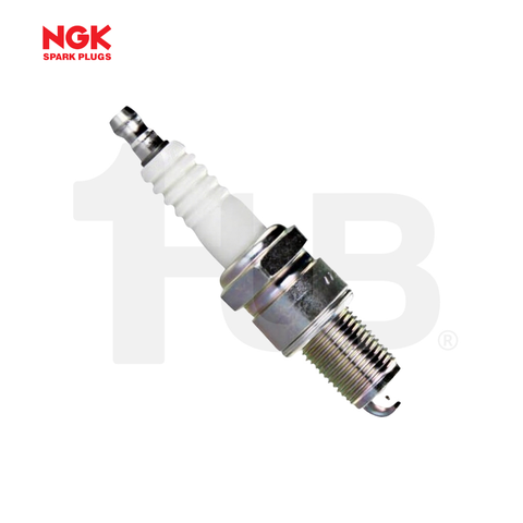 NGK SPARK PLUG  BPR5EGP ( 1 BOX - 4 PCS )
