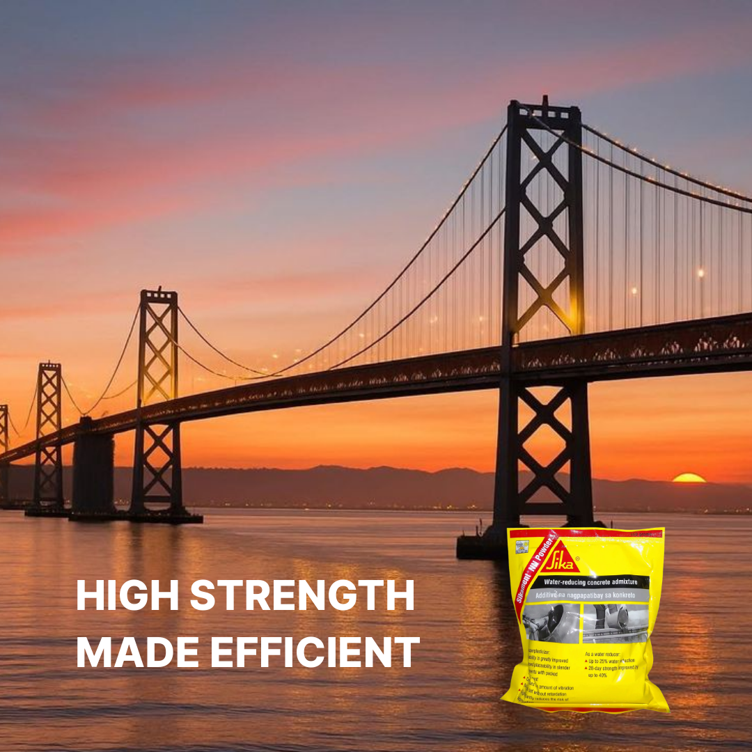 SIKA SIKAMENT NN POWDER WATER-REDUCING CONCRETE ADMIXTURE ( 150G )