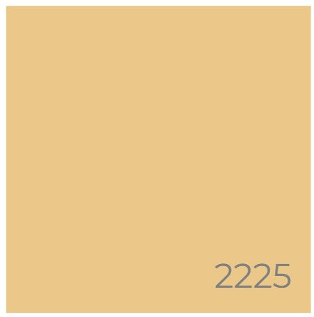A-Plus All Weather Paint 4L - Medium Gloss | White and Pastel Shades for Interior & Exterior Paint